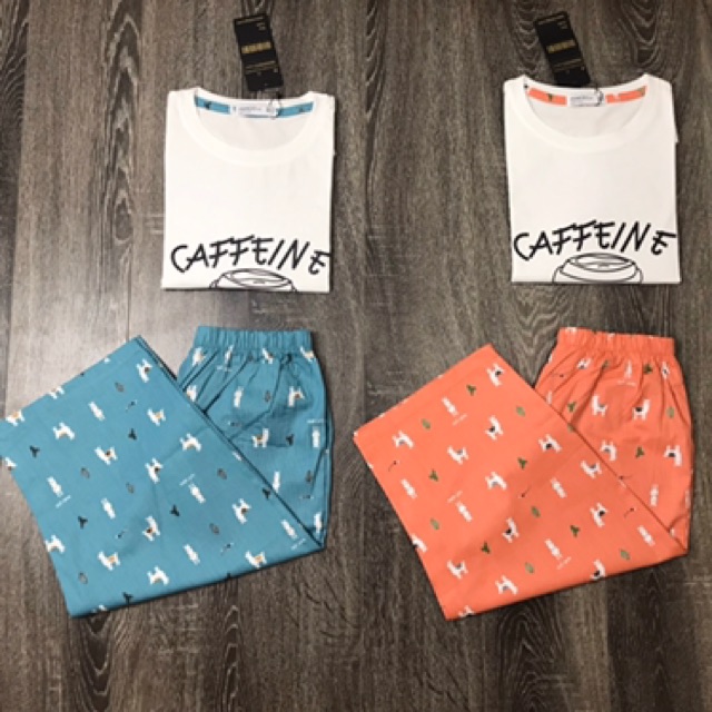 [HÀNG LOẠI 1]-BỘ COTTON NỮ SIÊU XINH ẢNH THẬT | BigBuy360 - bigbuy360.vn