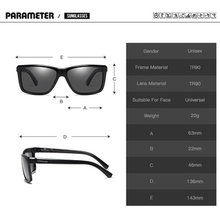 [Polarized] Kính Mát  Phân Cực Panaroid -Ghi
