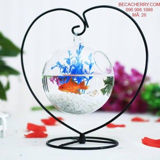 Bể Cá Mini Trái Tim 26 ( Tặng Kèm Combo Phụ Kiện )