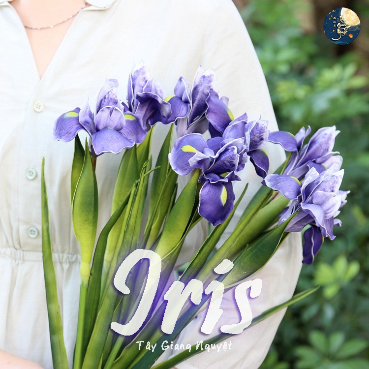 Hoa diên vĩ decor Hoa iris sang trong tao nhã Đạo cụ chụp ảnh và trang trí nhà cửa