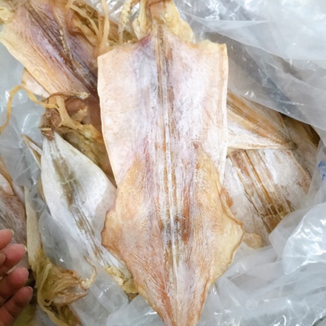 2 con mực câu size 12 con/1kg