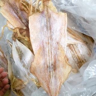 2 con mực câu size 12 con/1kg