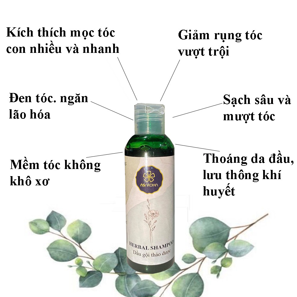 Dầu Gội Thảo Mộc Asaroma Mọc Tóc Nhanh Ngăn Gàu Hiệu Quả Khi Dùng Thêm Tinh Dầu Dưỡng Tóc Hương Nhu 100ml | BigBuy360 - bigbuy360.vn
