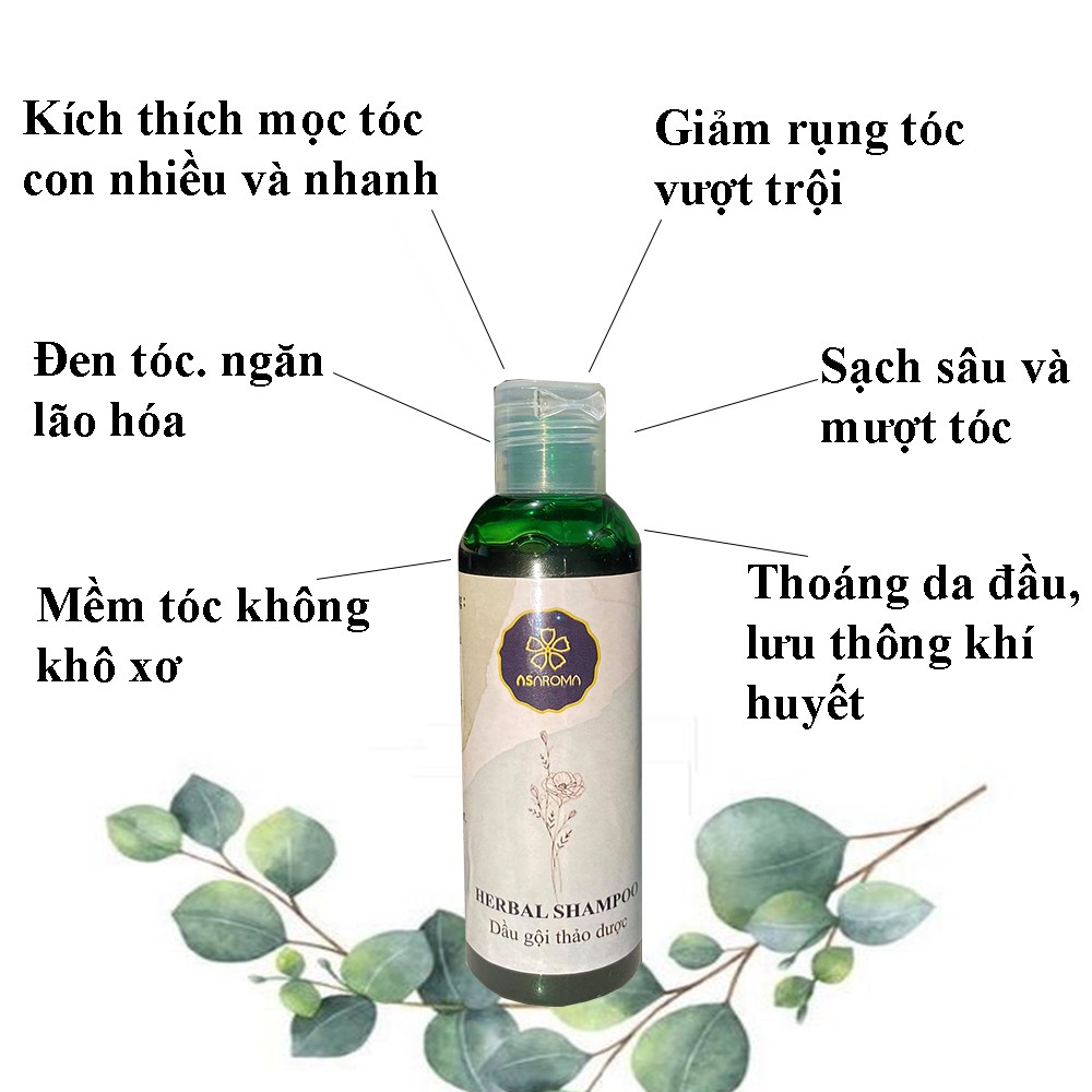 Dầu Gội Thảo Mộc Asaroma Mọc Tóc Nhanh Ngăn Gàu Hiệu Quả Khi Dùng Thêm Tinh Dầu Dưỡng Tóc Hương Nhu 100ml