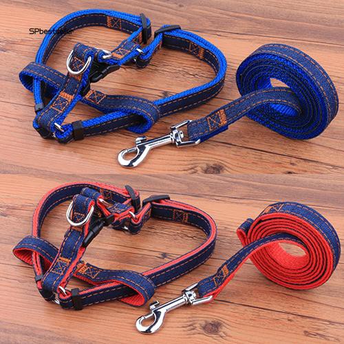 Dây đai dắt chó cưng đi dạo có vòng yếm