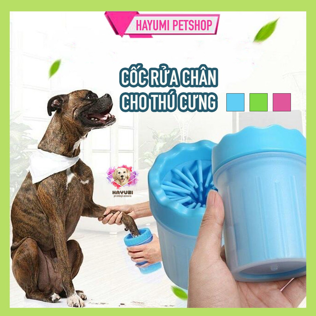 HỘP RỬA CHÂN CHÓ MÈO - SAU KHI RA NGOÀI, CÔNG VIÊN