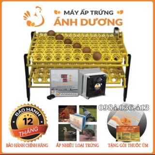 Máy ấp trứng mini Ánh Dương P100 khay tự động đảo 108 quả - máy ấp trứng gà , vịt , ngan đảo tự động hoàn toàn