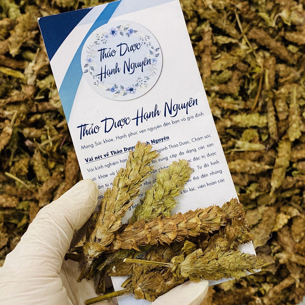Hạ khô thảo 500g ( Hạ cô thảo dược liệu quý từ thiên nhiên) - Thảo Dược Hạnh Nguyên