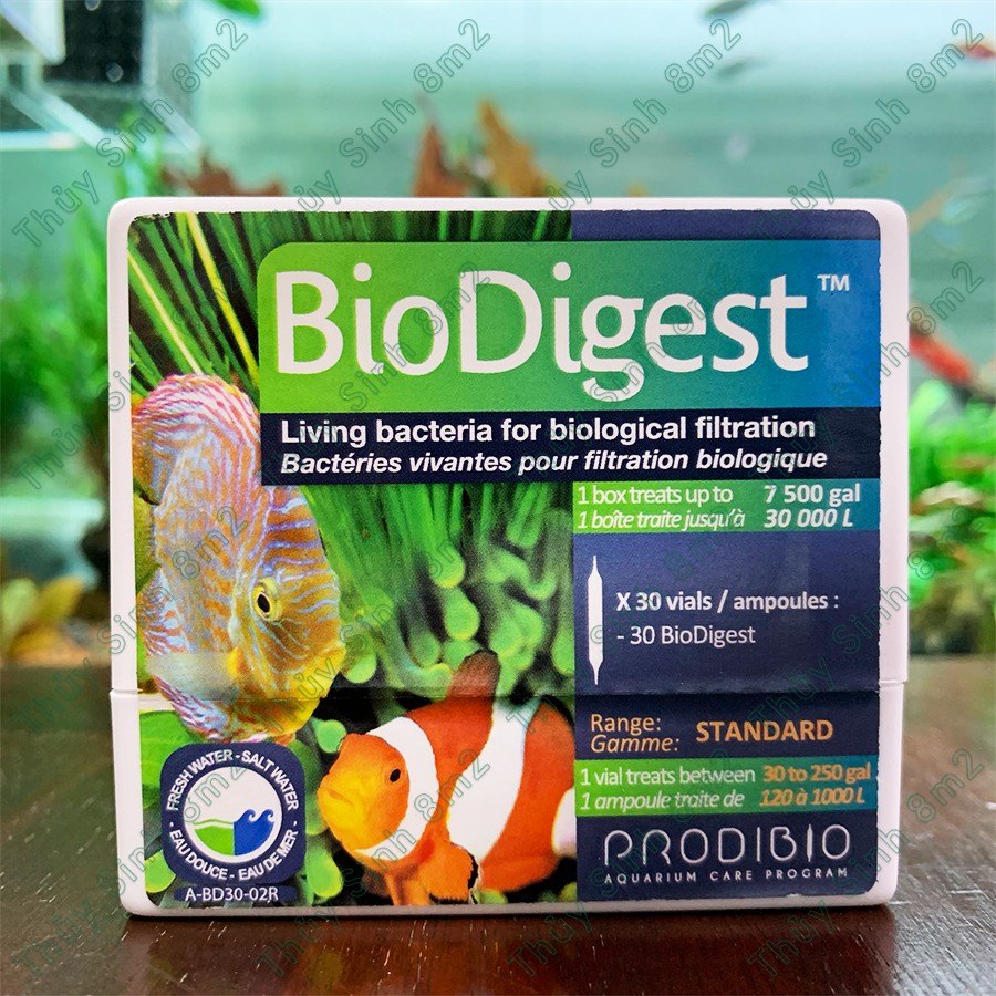 Vi Sinh Sống BioDigest Prodibio | Khởi Tạo Toàn Diện Cho Hồ Cá Tép Thủy Sinh | 8m2
