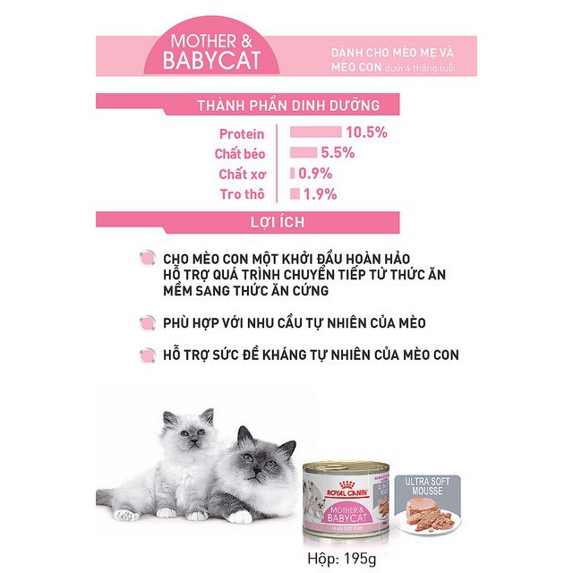 Pate Lon Royal Canin Mother Baby Cat 195g dành cho mèo mẹ và mèo con