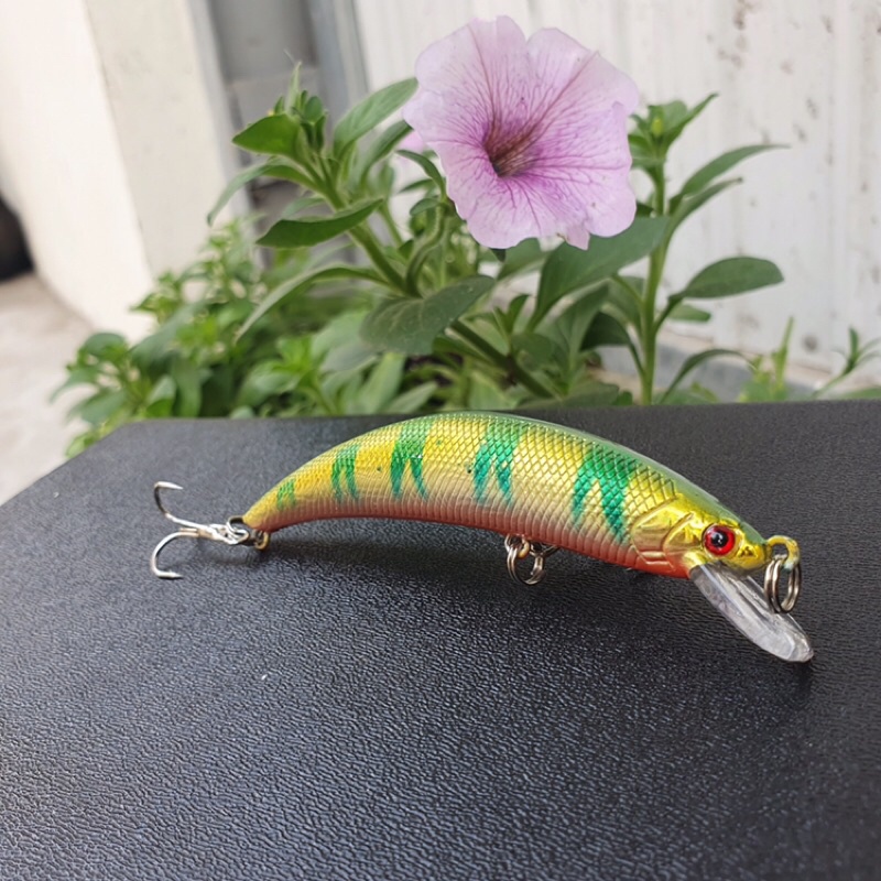 cá thân cong 9g dài 9.5cm