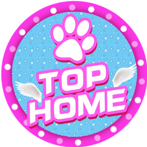 top_home.vn, Cửa hàng trực tuyến | BigBuy360 - bigbuy360.vn