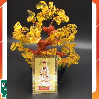 [Hộ Mệnh - Bình An]Kim Bài Kinh Chú Phật Bà Quan Âm - Độ Mệnh - Che Chở Bảo Vệ An Toàn