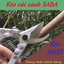 [Có sẵn] Kéo cắt cành cây sắc vĩnh viễn SADA 210MM Nhật Bản cao cấp không gỉ