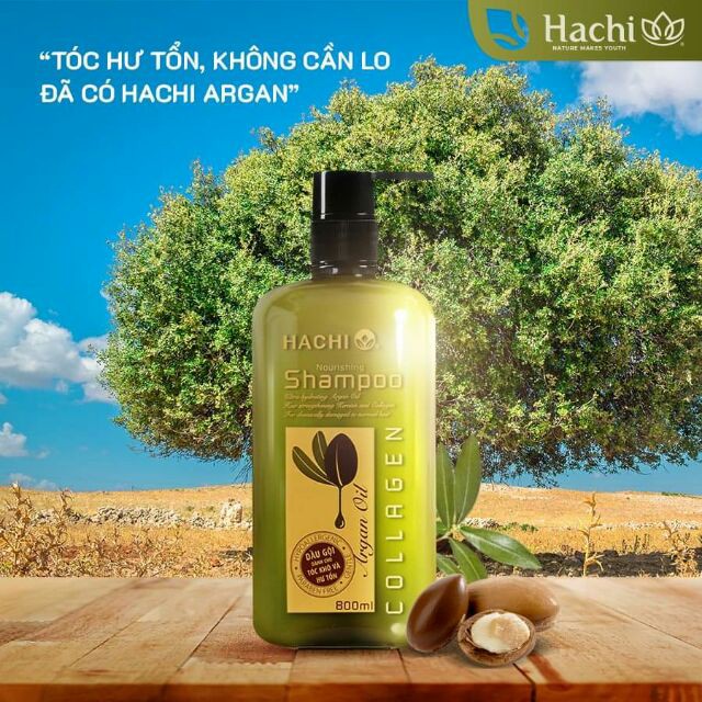 [HaMyShop] 350ML - DẦU GỘI HACHI DÀNH CHO TÓC RỤNG/ TÓC DẦU/ TÓC GẦU/ TÓC HƯ TỔN SIÊU RẺ | BigBuy360 - bigbuy360.vn