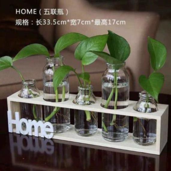 [XẢ KHO+FREE SHIP] Set 5 lọ thủy tinh cao thấp cắm hoa kèm kệ gỗ Home.