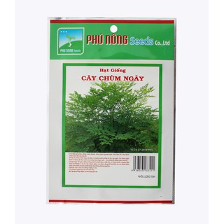Hạt giống Chùm ngây Phú Nông