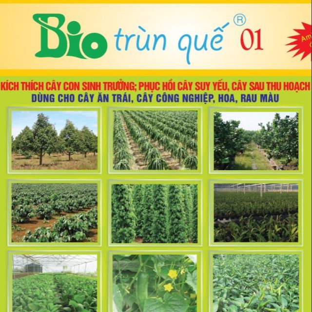 Dung dịch trùn quế - Trung tâm công nghệ sinh học