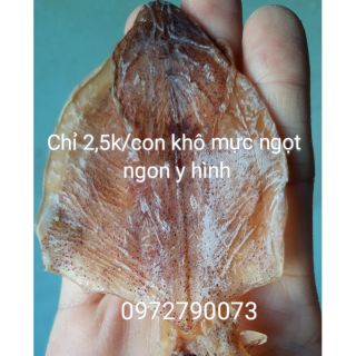 [Y hình] 75-80 con mực khô 3-4 ngón tay ~500g