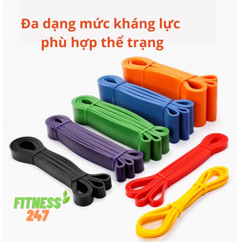 Dây Kháng Lực Power Band Tập Gym, Dây Cao Su Đa Năng Hỗ Trợ Tập Luyện Toàn Thân Cao Cấp