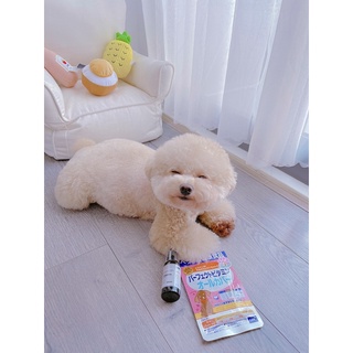 VITAMIN tổng hợp DHC của Nhật cho chó