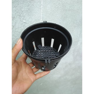 Chậu nhựa trồng lan phi 14