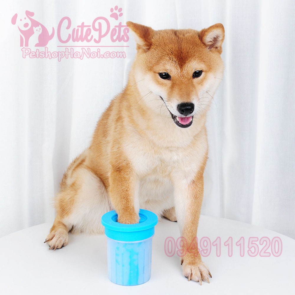 Cốc rửa chân cho chó mèo Soft Gentle - CutePets Phụ kiện thú cưng Pet shop Hà Nội