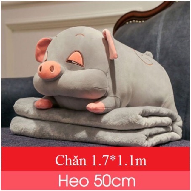 Bộ Chăn Gối Văn Phòng Hình Heo FHC692