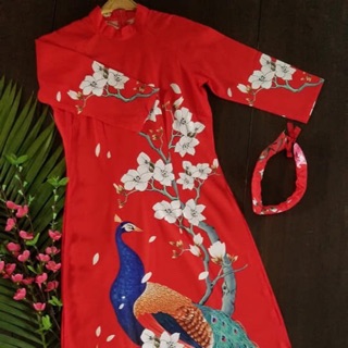 Combo Áo dài đỏ