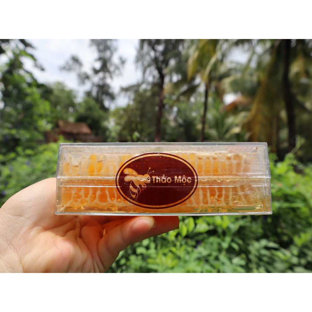 [Mã 267FMCGSALE giảm 8% đơn 500K] MẬT ONG BÁNH TỔ THẢO MỘC HỘP 500GR TẶNG KÈM HOA BẠC HÀ, HOA RỪNG | BigBuy360 - bigbuy360.vn