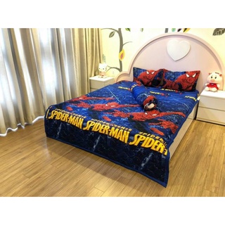 Bộ chăn hè poly 5 món