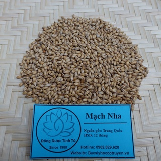Mạch nha 100g, dược liệu loại 1, khô, sạch