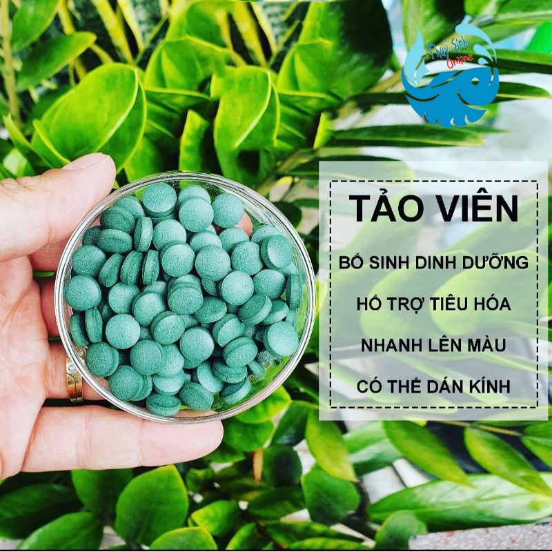 (100 viên) Tảo viên thức ăn cho cá cảnh, tép cảnh, bảy màu, cá thuỷ sinh