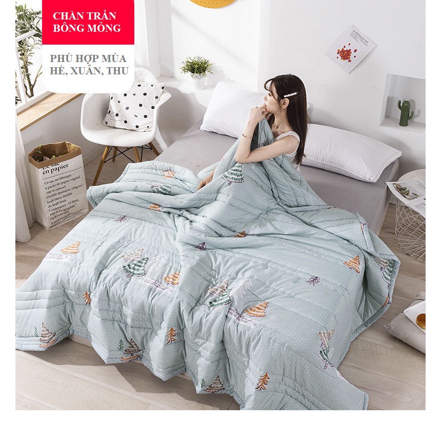 Chăn mùa thu, chăn điều hòa mỏng (2.0x2.3m)