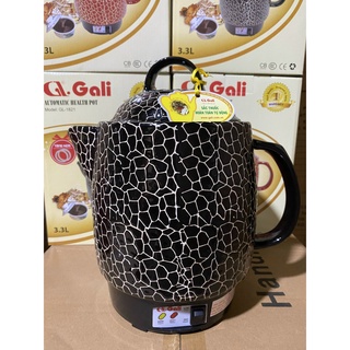 Siêu đun thuốc GALI GL-1821