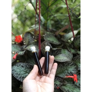 Cao Lá Nam Hàng Chuẩn handmade