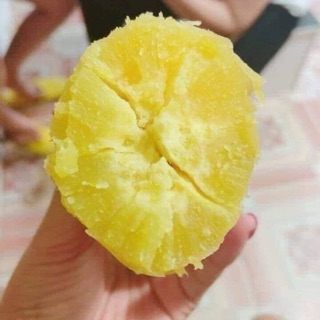 [KHOAI MỚI] Khoai lang Nhật 1 kg ngon và bở thơm
