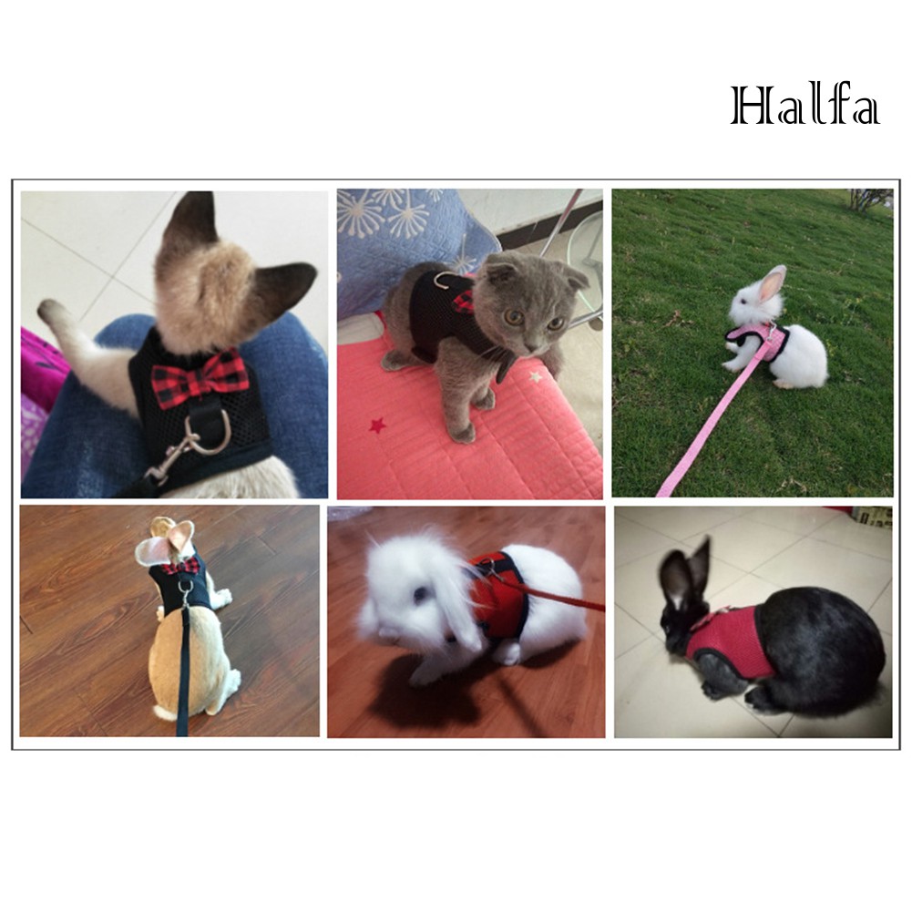 Bộ Yếm Đeo Kèm Dây Dẫn Thỏ / Chuột Hamster Tiện Dụng