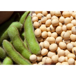 Đậu Nành Việt San 500gr