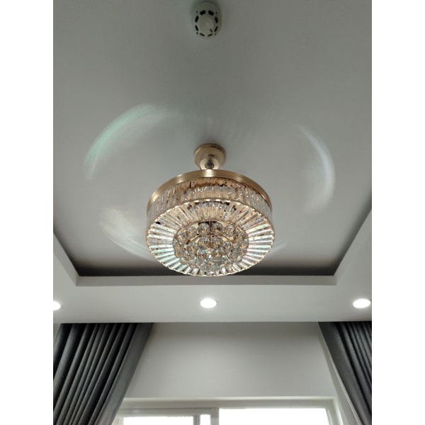 Quạt trần đèn giấu cánh 6 số, động cơ DC tiết kiệm điện, mẫu mã đa dạng
