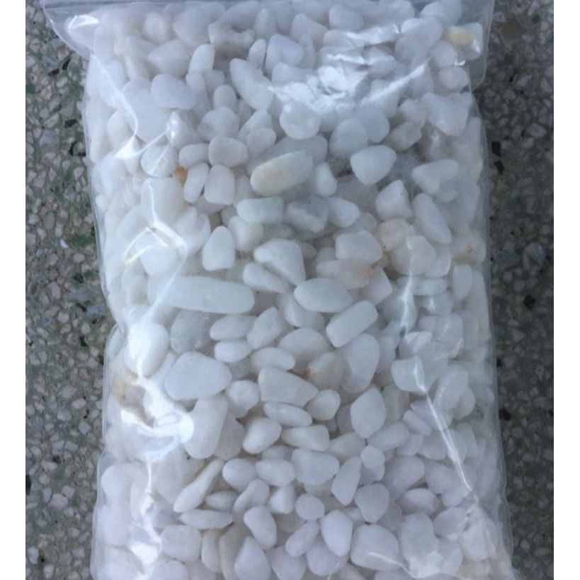 Sỏi Trắng Trang Trí