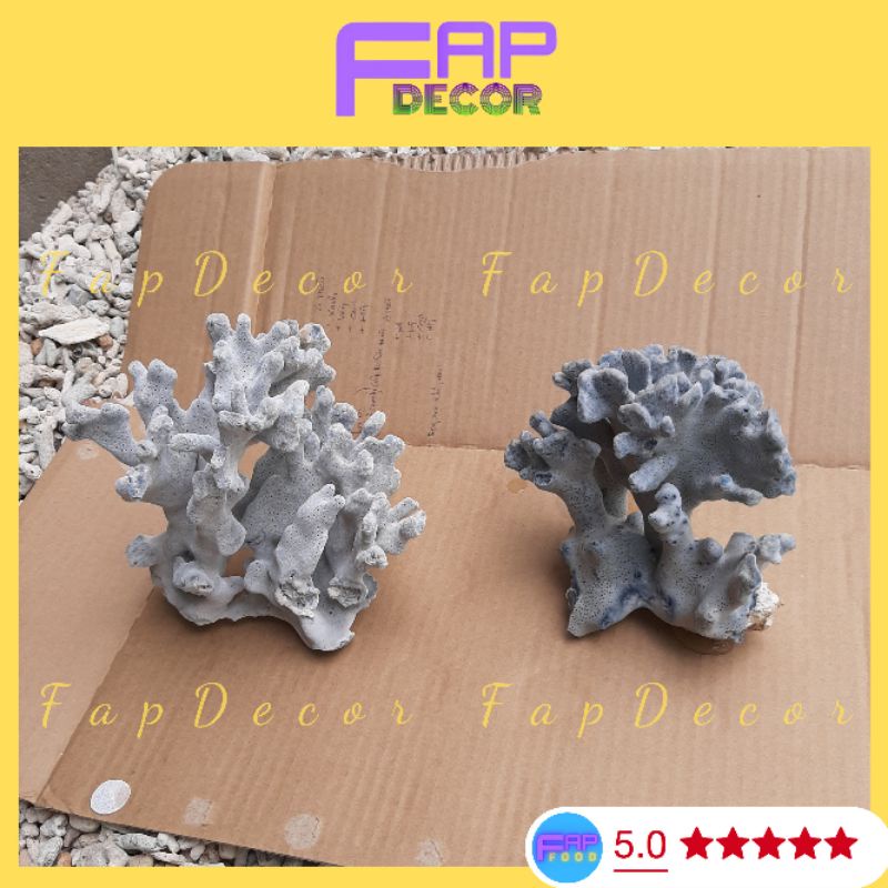 Bông Rạn Xanh Cao Cấp Hàng Hiếm Nhúng Nước Sẽ Lên Màu Siêu Đẹp Trang Trí Bể Cá, Thủy Sinh - FapFood