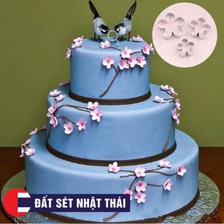 KHUÔN LÀM HOA ĐẤT SÉT 5 cánh - HOA ĐƯỜNG, XÔI HOA ĐẬU, HOA BÁNH KEM, RAU CÂU