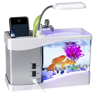 Bể cá mini để bàn
