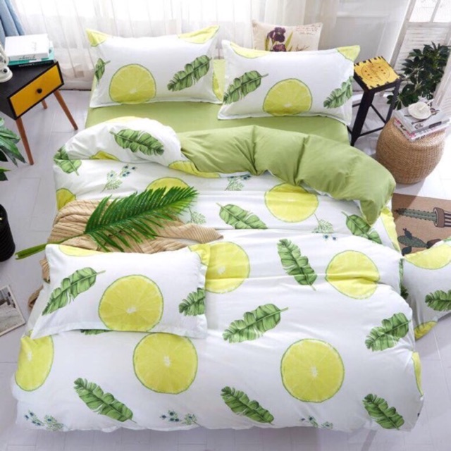 Bộ chăn ga gối cotton poly hàng nhập