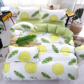 Bộ chăn ga gối cotton poly hàng nhập