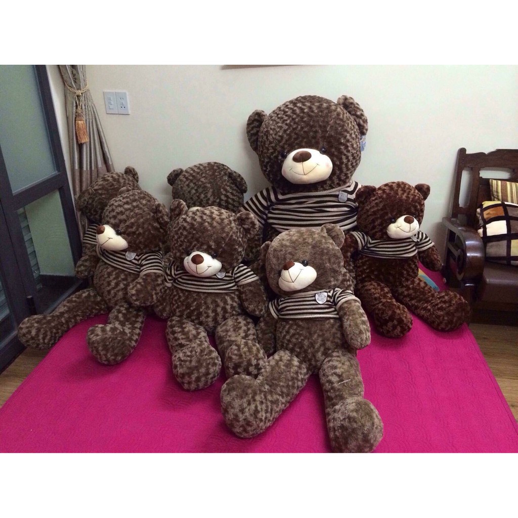 Gấu Teddy Siêu To Khổng Lồ 1M8 Ôm Phê Hơn Cả Người Yêu