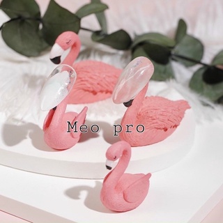 Đế hạc hồng gắn móng giả tập vẽ