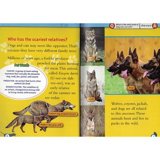 Đồ chơi- National Geographic level 3