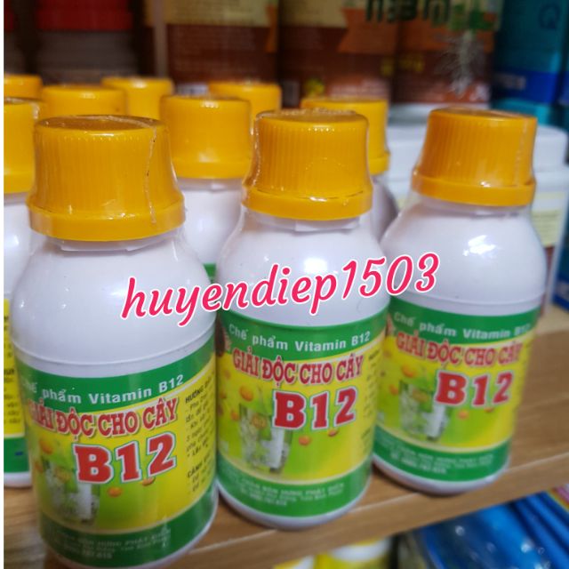 Vitamin B12 giúp giải độc chống sốc cho Lan chai 100ml